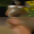 Sluts Spring